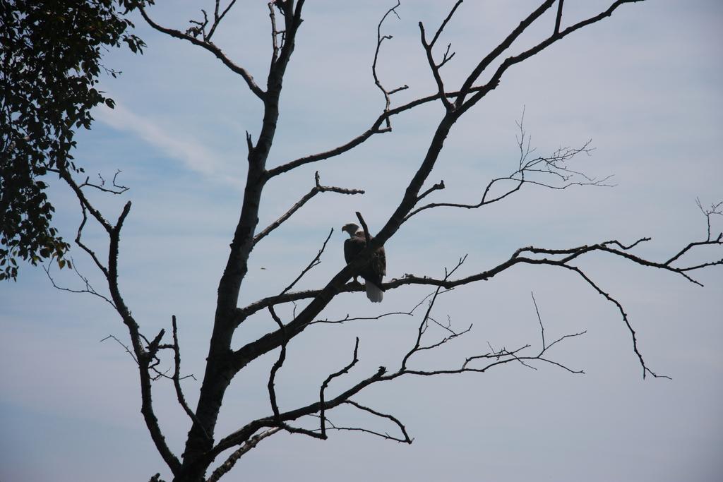 Cliff Dweller On Lake Superior Tofte Kültér fotó